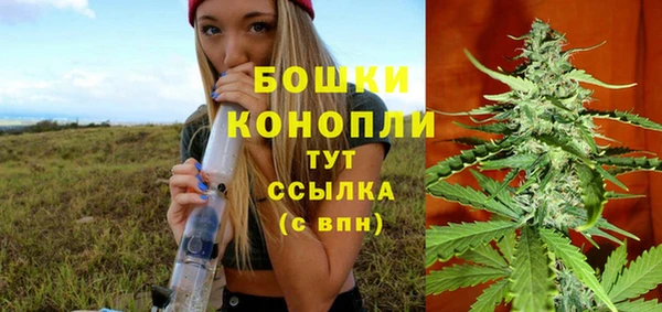 первитин Дмитриев