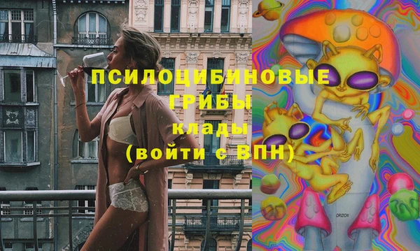 первитин Дмитриев