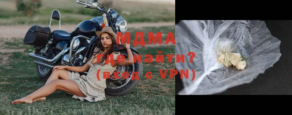стаф Гусев